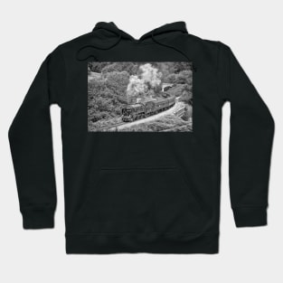 Schools Class Repton - Black and White Hoodie